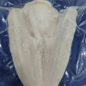 فيليه بانكاسيوس فراشة مجمد